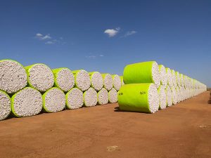 Preventing Cotton Spoilage