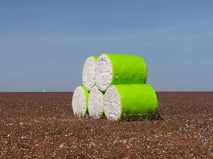 Case Cotton Harvester