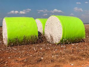 Cotton Bales