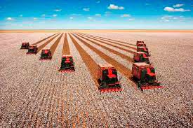 Agricultural Film Distributors USA 